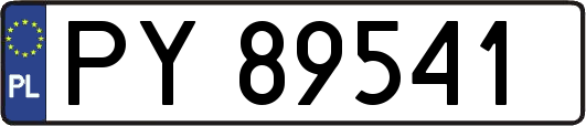 PY89541