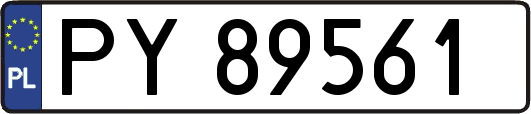 PY89561