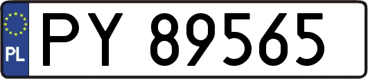 PY89565