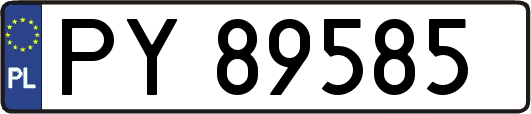 PY89585