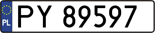 PY89597