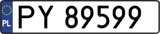 PY89599