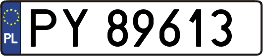 PY89613