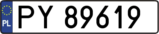 PY89619