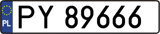 PY89666