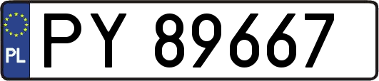 PY89667