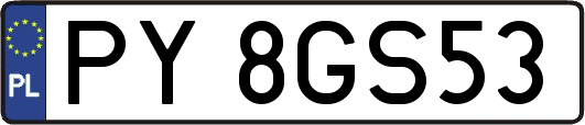 PY8GS53
