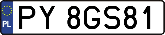 PY8GS81