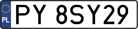 PY8SY29