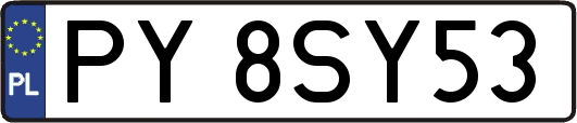 PY8SY53