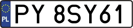 PY8SY61