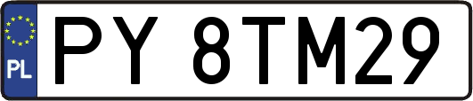 PY8TM29