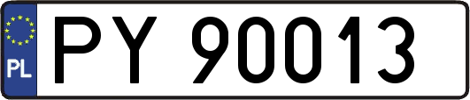 PY90013