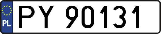 PY90131