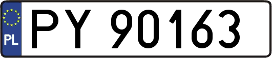 PY90163