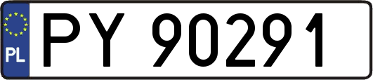 PY90291