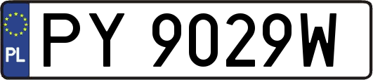 PY9029W