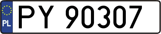 PY90307