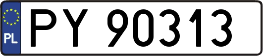 PY90313