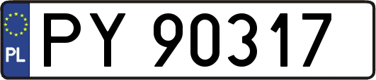 PY90317