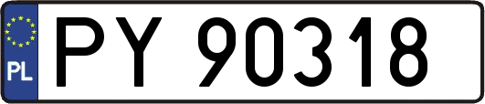 PY90318