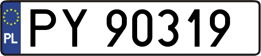 PY90319