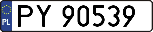 PY90539