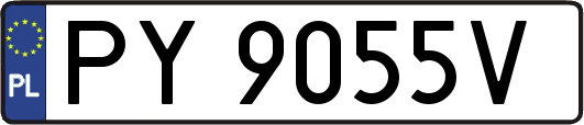 PY9055V