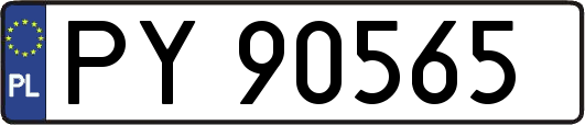 PY90565