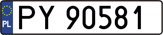PY90581