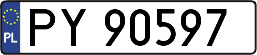 PY90597