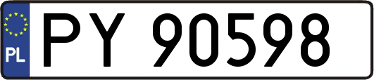 PY90598