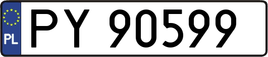 PY90599