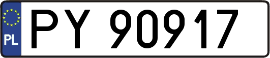 PY90917