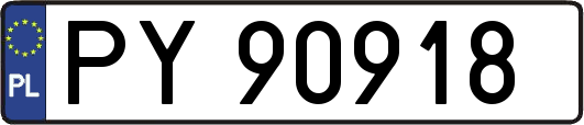 PY90918