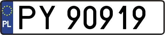 PY90919