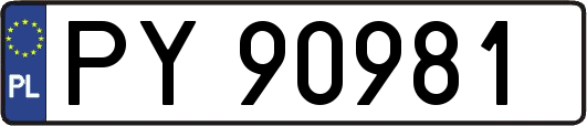PY90981