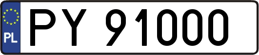 PY91000