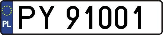 PY91001