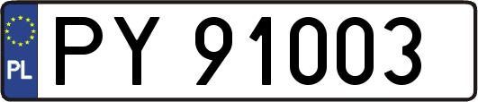 PY91003