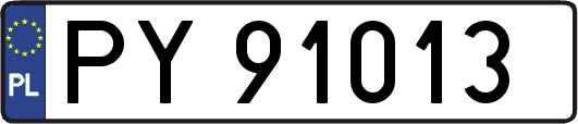 PY91013