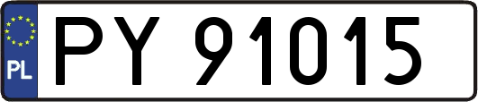 PY91015