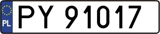 PY91017