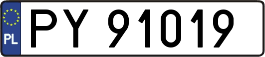 PY91019