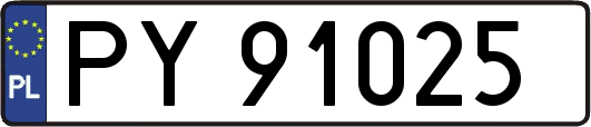 PY91025