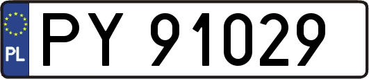 PY91029