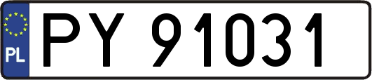 PY91031