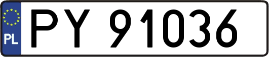 PY91036