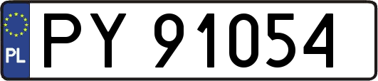 PY91054