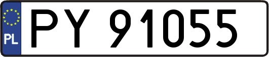 PY91055